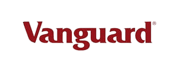 Vanguard Newspaper logo as media partner for personal branding coaching